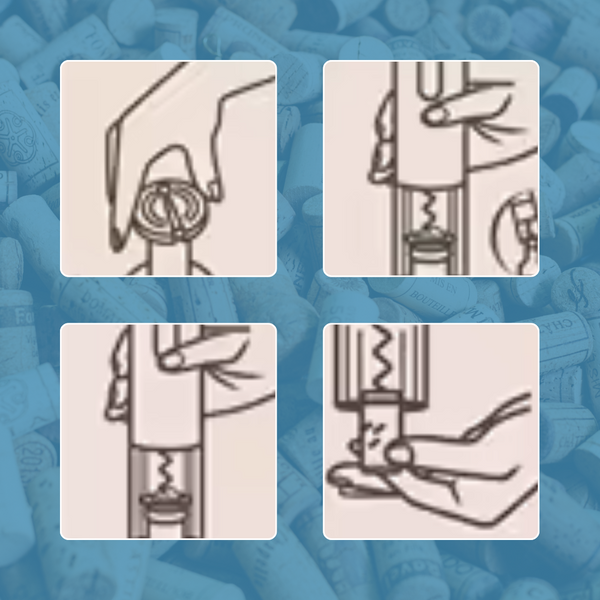 Dein Ultimate Wine Experience