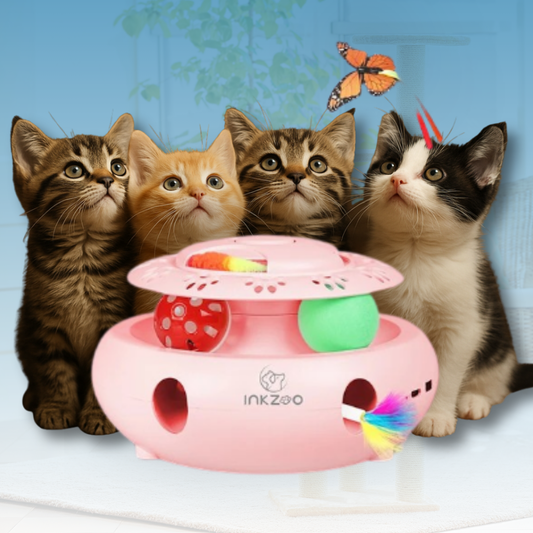 MouseChase Carousel - 4-in-1 Interaktives Katzenspielzeug