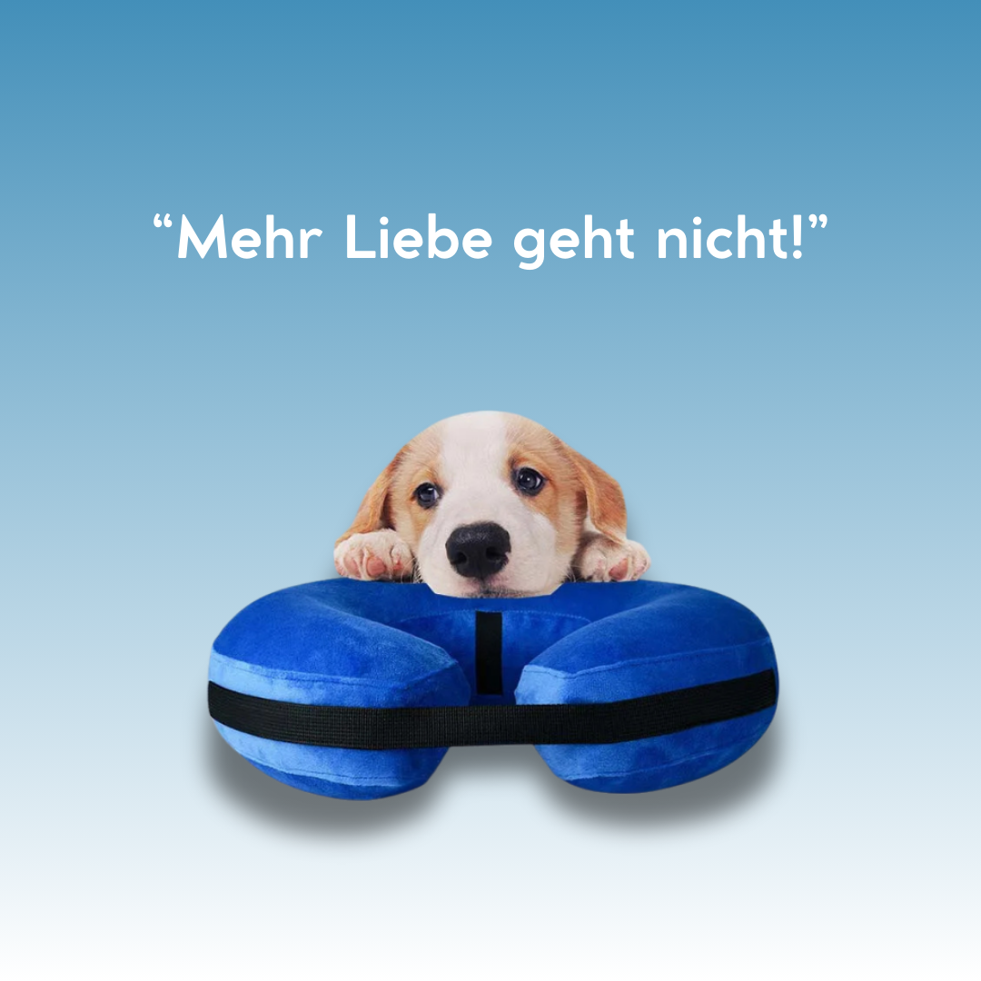 CuddleCare Recovery - Mehr als nur ein Schutzkragen