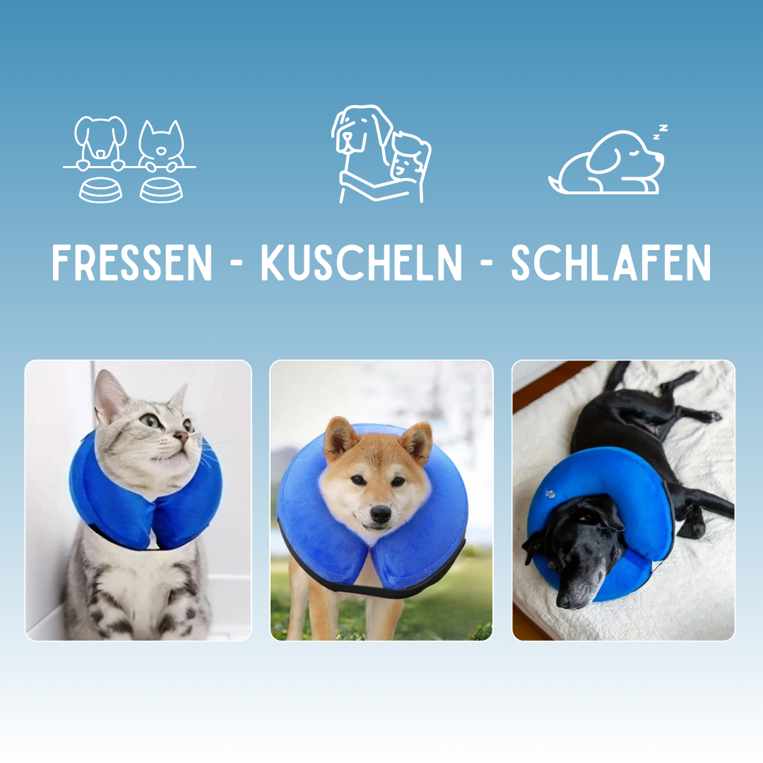 CuddleCare Recovery - Mehr als nur ein Schutzkragen