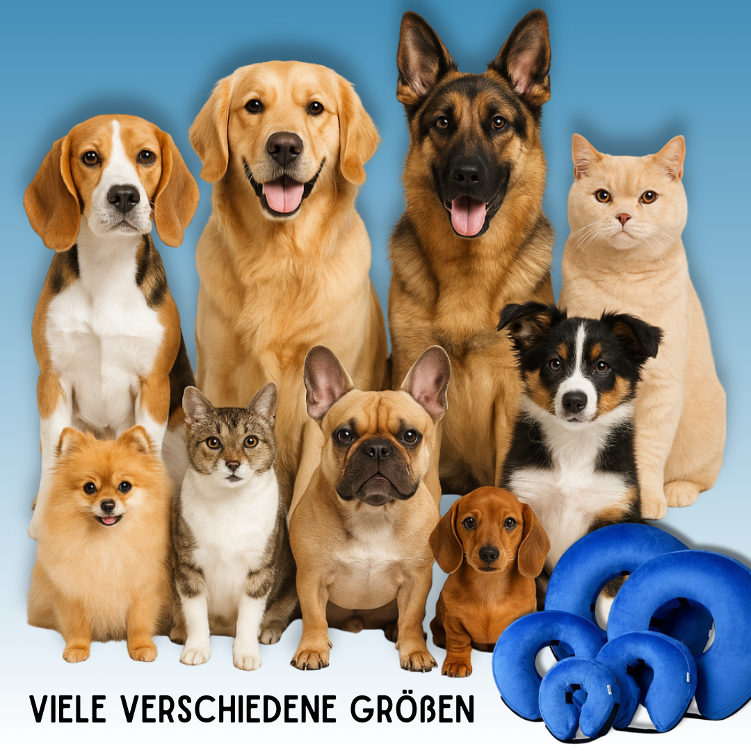 CuddleCare Recovery - Mehr als nur ein Schutzkragen