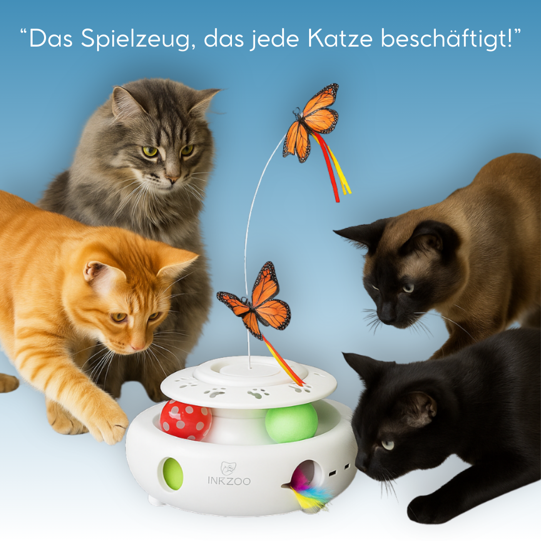 MouseChase Carousel - 4-in-1 Interaktives Katzenspielzeug