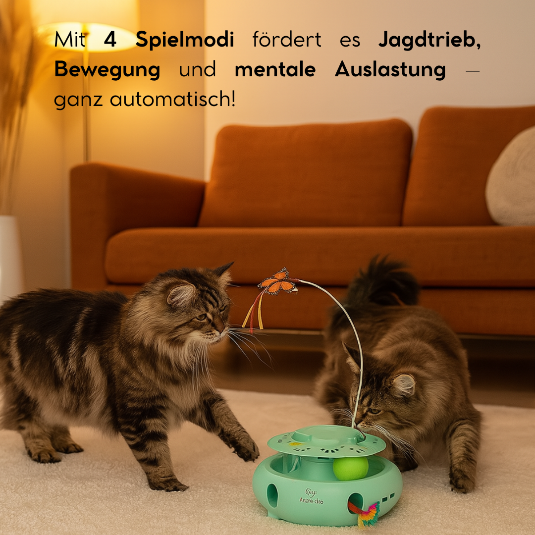 MouseChase Carousel - 4-in-1 Interaktives Katzenspielzeug