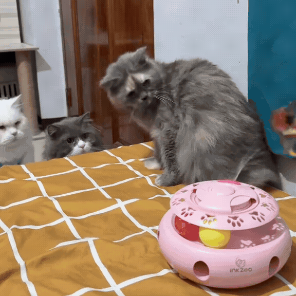 MouseChase Carousel - 4-in-1 Interaktives Katzenspielzeug