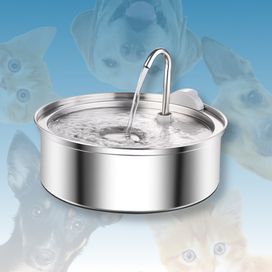 AquaTrust Pet – Dein Trinkbrunnen mit Hygienegarantie