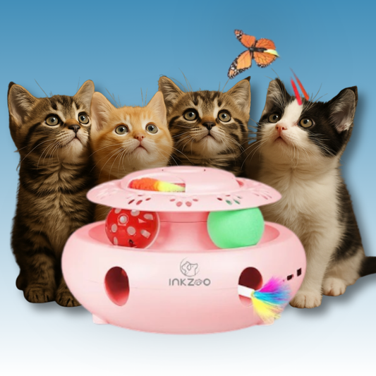 MouseChase Carousel - 4-in-1 Interaktives Katzenspielzeug