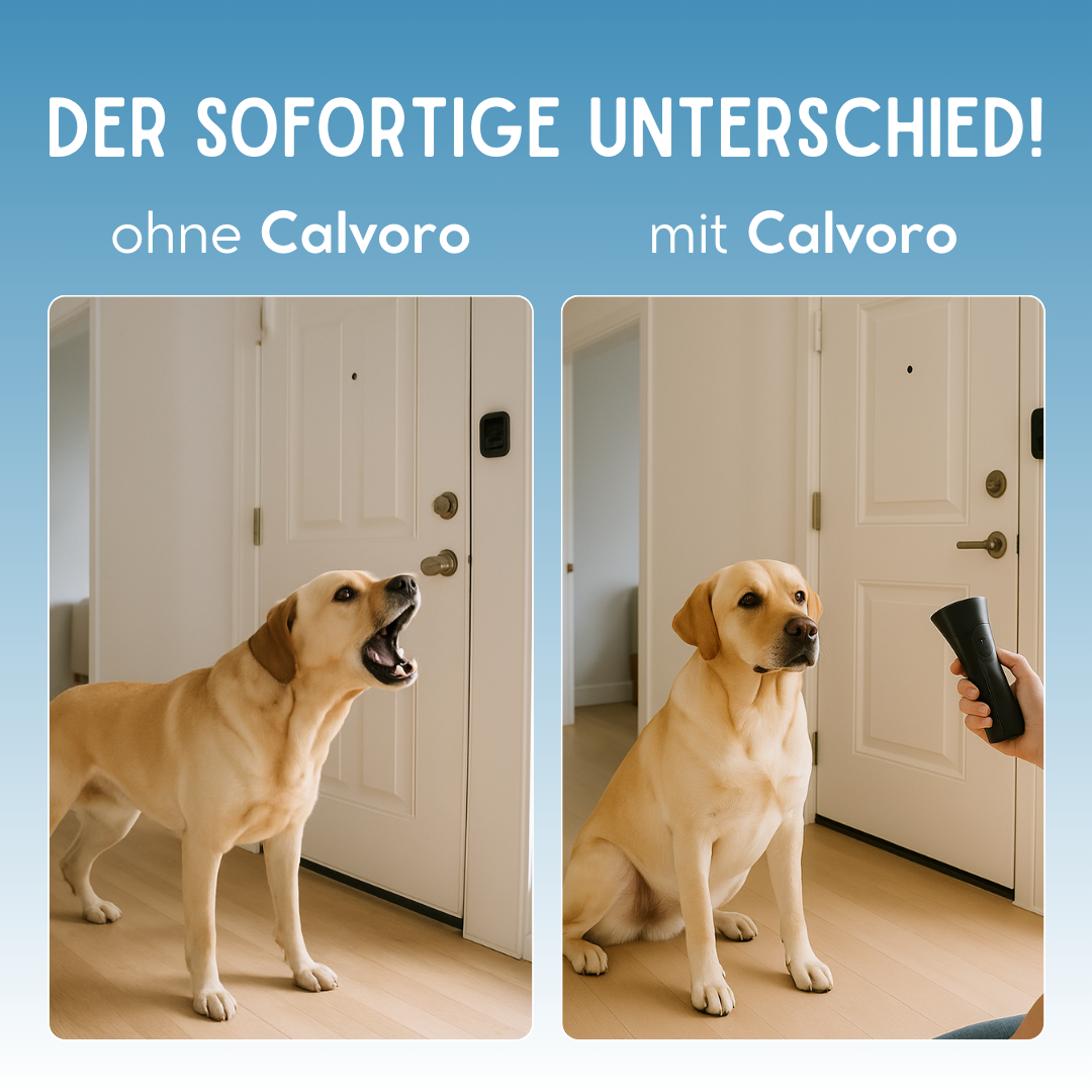 Calvoro - Dein Anti-Bell Training